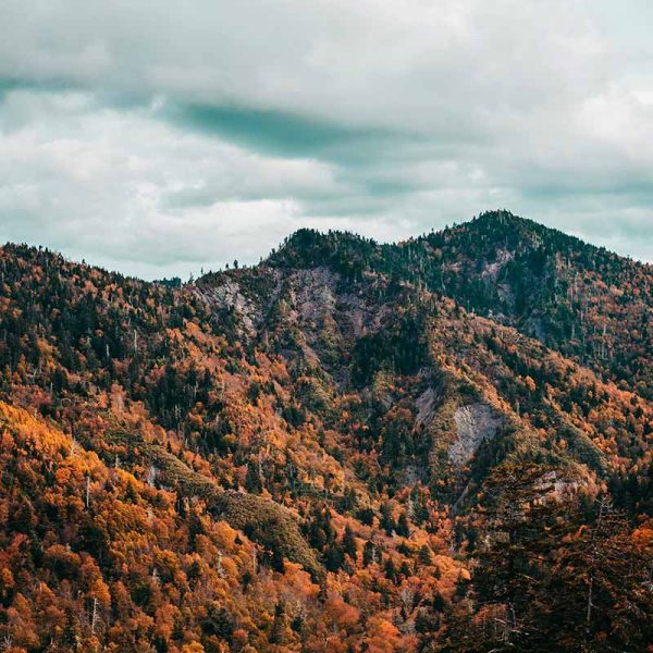 Montañas con los árboles en modo otoño - Retiro en otoño